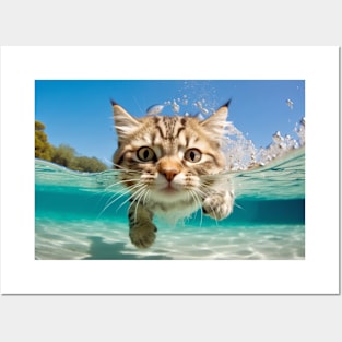 Cat Pet Animal Fun Playing Water Outdoor Posters and Art